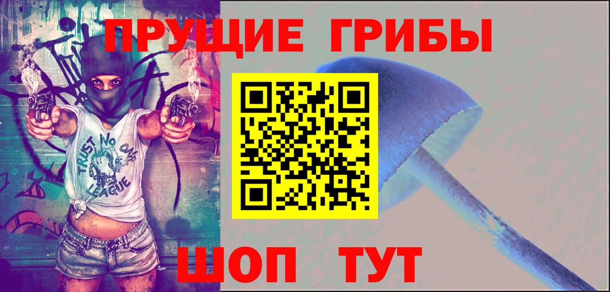 Люберцы  Псилоцибиновые грибы Cubensis  Вход с VPN  Галлюциногенные грибы MAGIC MUSHROOMS 